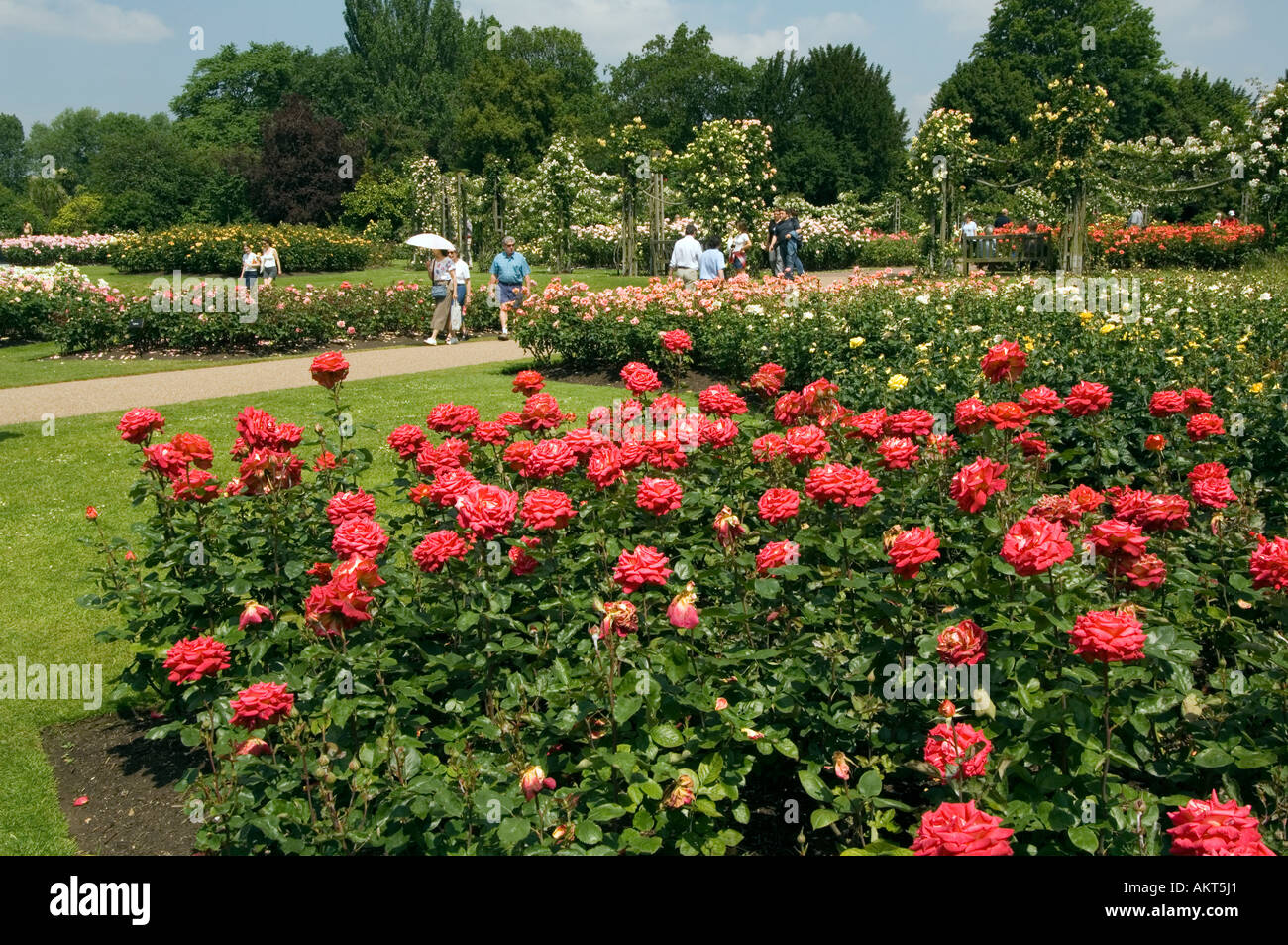 Regents park rose garden hires stock photography and images Alamy