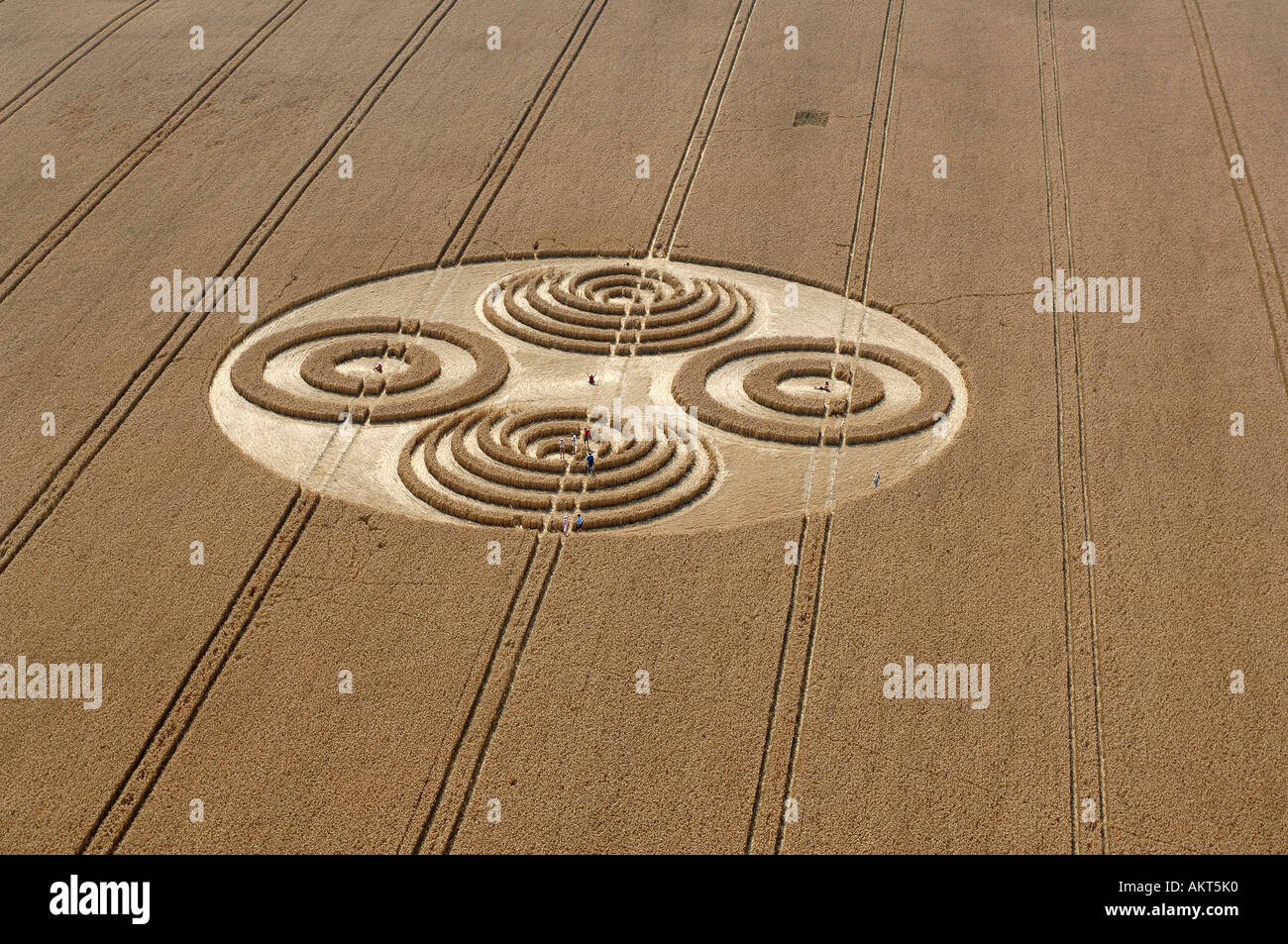 Crop circles in Wiltshire England Stock Photo