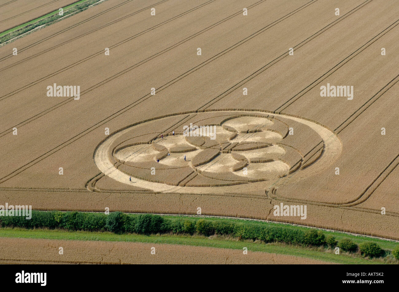 Crop circles in Wiltshire England Stock Photo