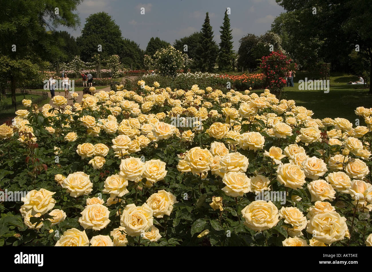 The largest of london parks hi-res stock photography and images - Alamy