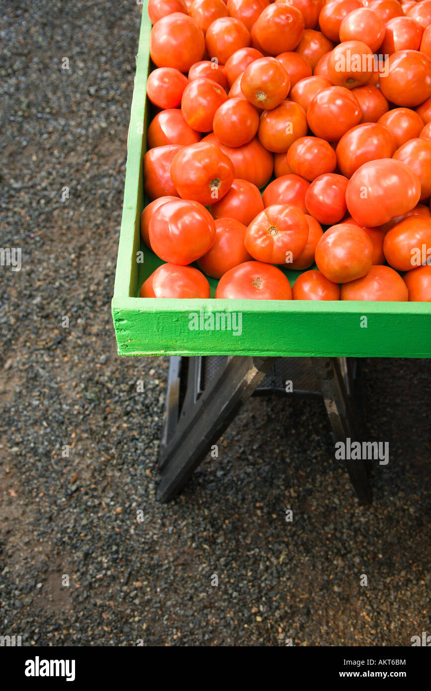 Pile of red tomatoes at produce market Stock Photo - Alamy