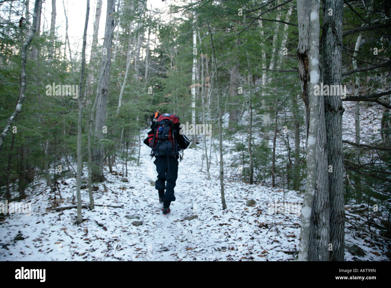 Hikers on Davis Path near Mount Crawford Located in the White Mountains