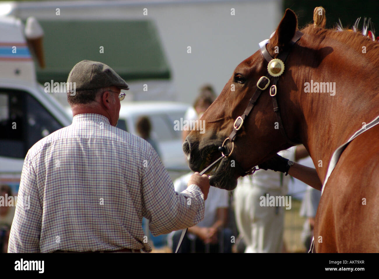 Heavy Horse with Handler at Wokingham Country Show 2005 Stock Photo Alamy