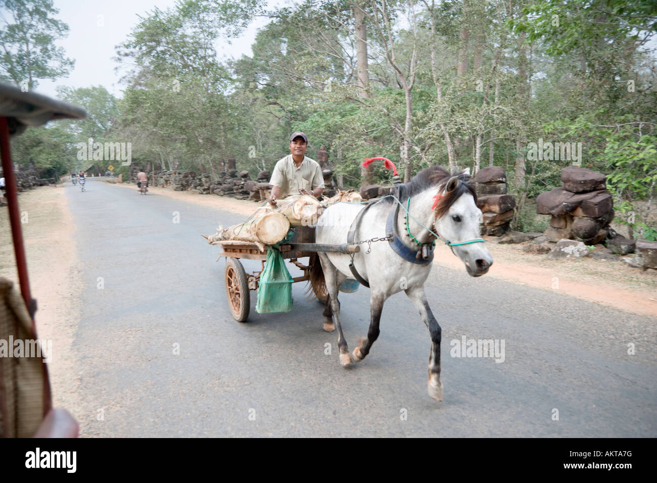 A hard working pony transports banana trunks for feed, Angkor, Cambodia Stock Photo
