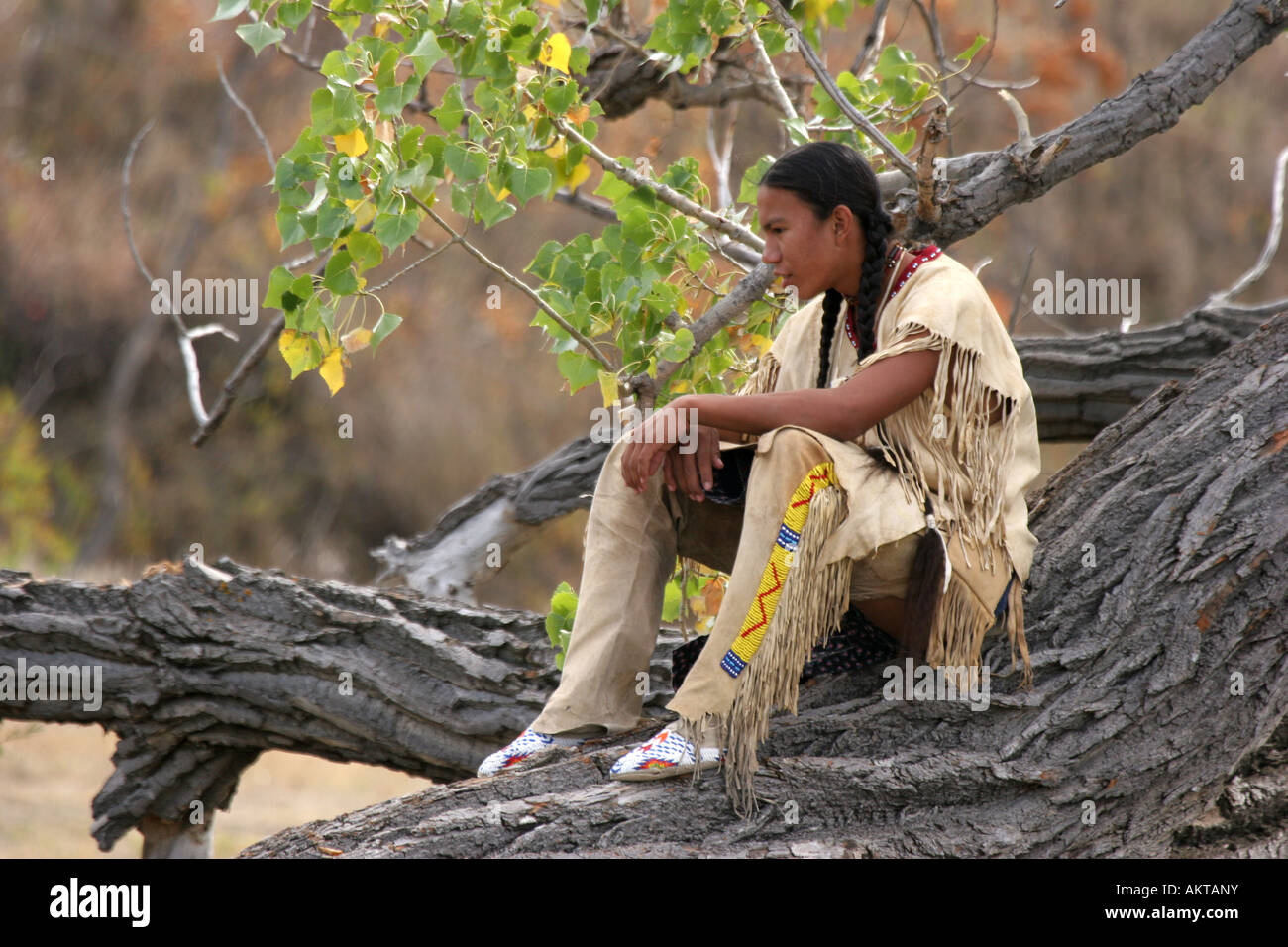 american chat native teen American chat native teen