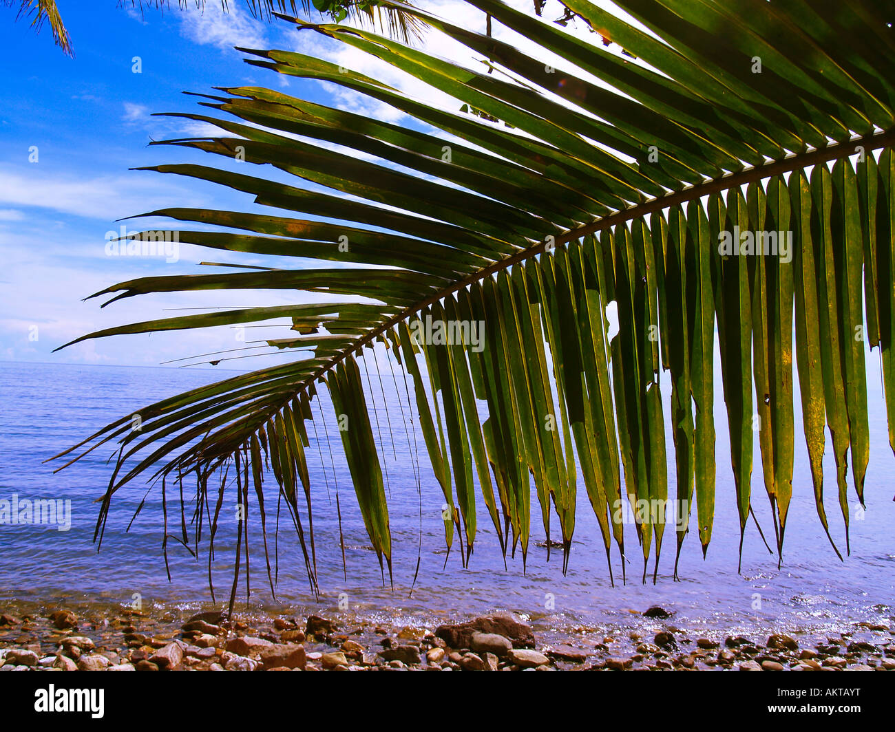Tropical Island Paradise Stock Photo - Alamy