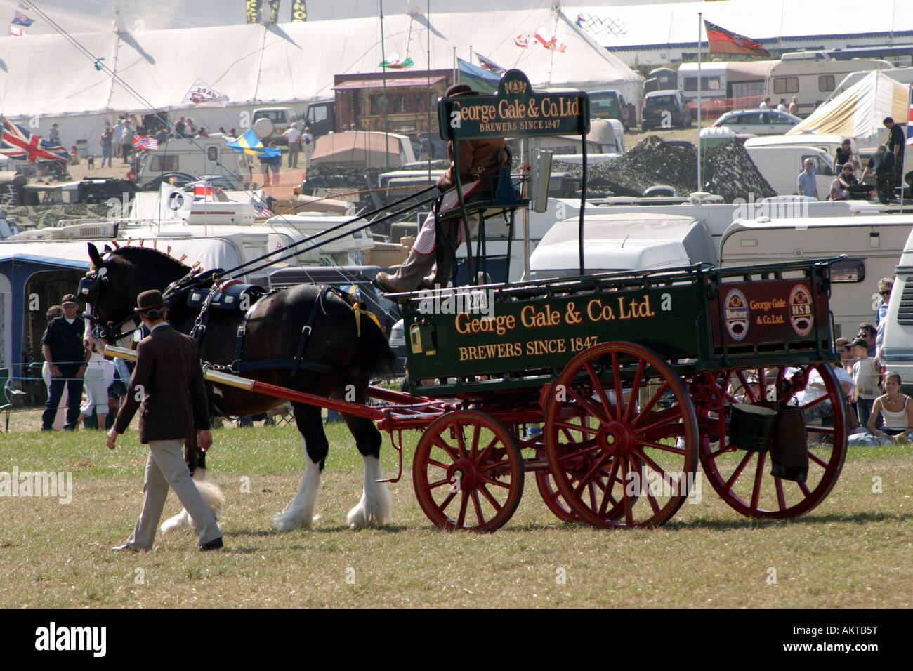 Shire horse with handler pulling George Gale brewery dray at Great Dorset Steam Rally 2005 Stock Photo