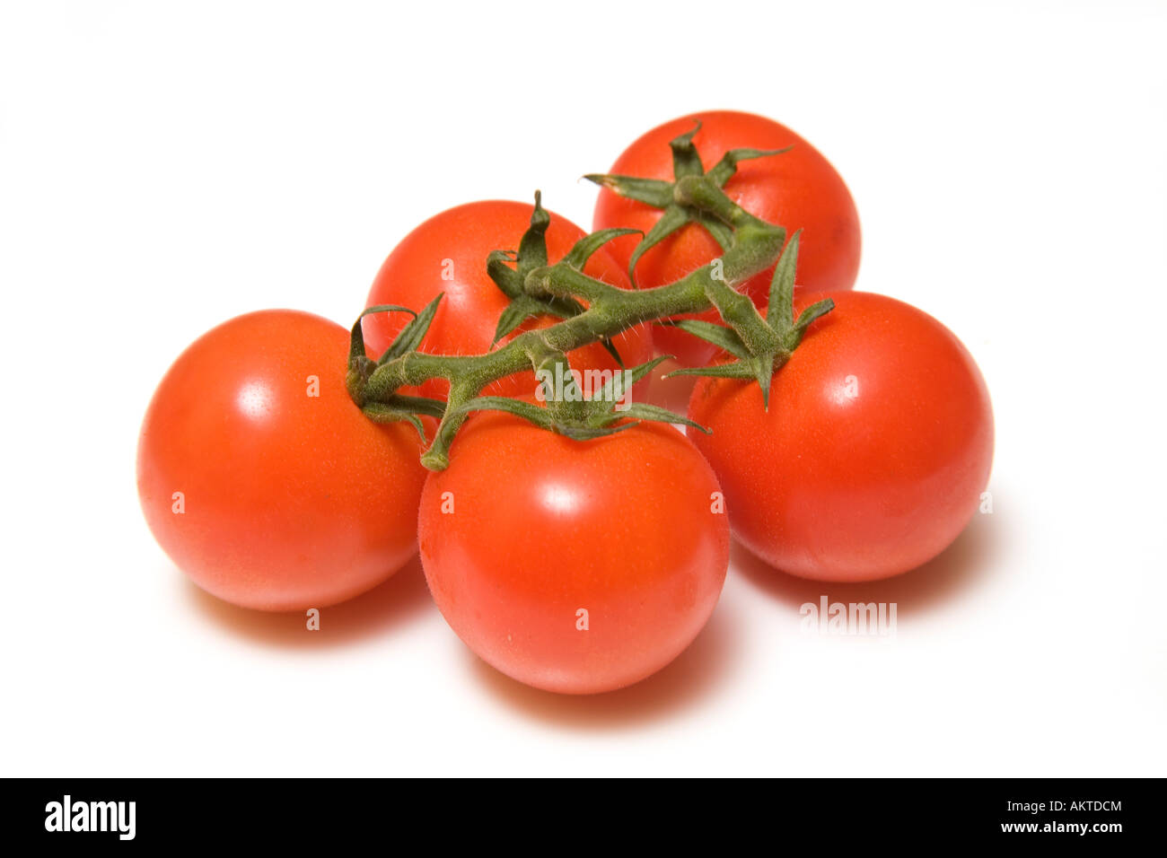 Vine tomatoes isolated on a white studio background Stock Photo - Alamy