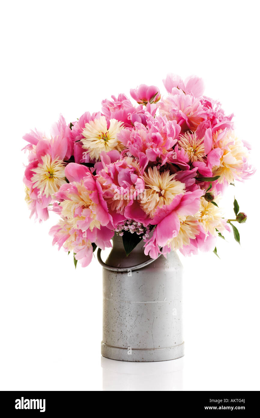 Bunch of peonies in milk can (Paeonia), close-up Stock Photo