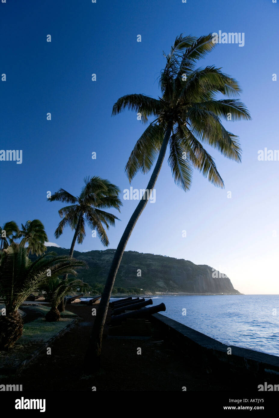Tropical contrasts - Cannons and palm trees - Saint-Denis, Réunion Stock Photo