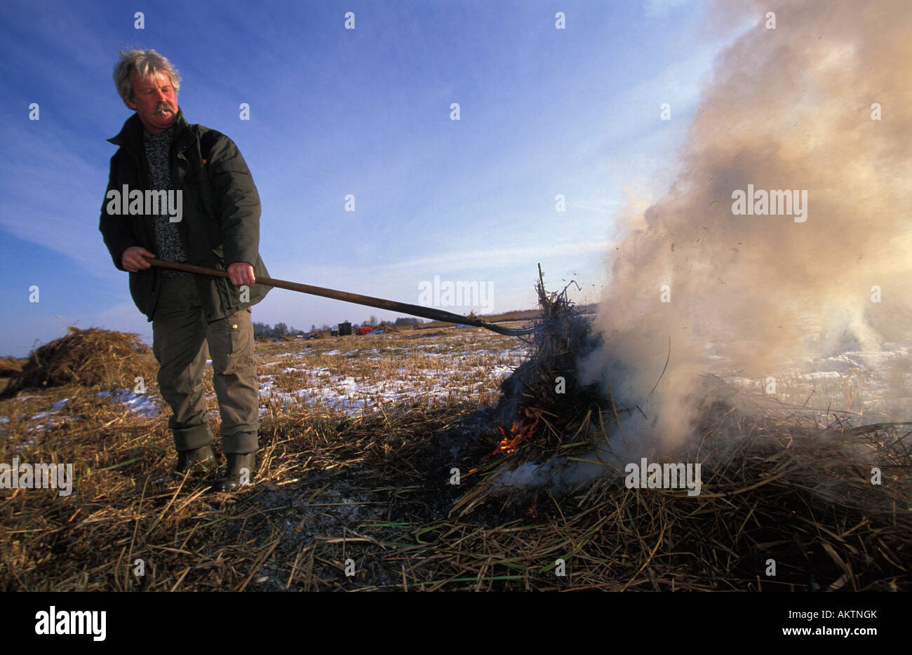 Reed cutter hi-res stock photography and images - Alamy