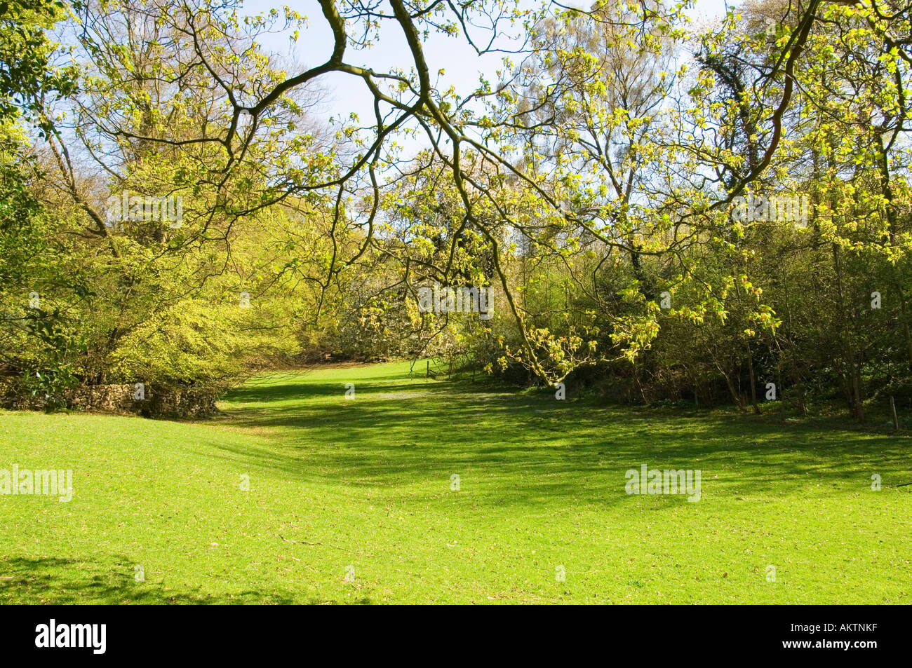 Spring foliage and pasture near Silverdale in the Arnside Silverdale Area of Outstanding Natural Beauty Stock Photo