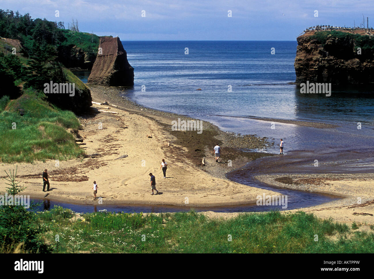 People family tourists Pokeshaw Park New Brunswick Province Canada North America Stock Photo Alamy