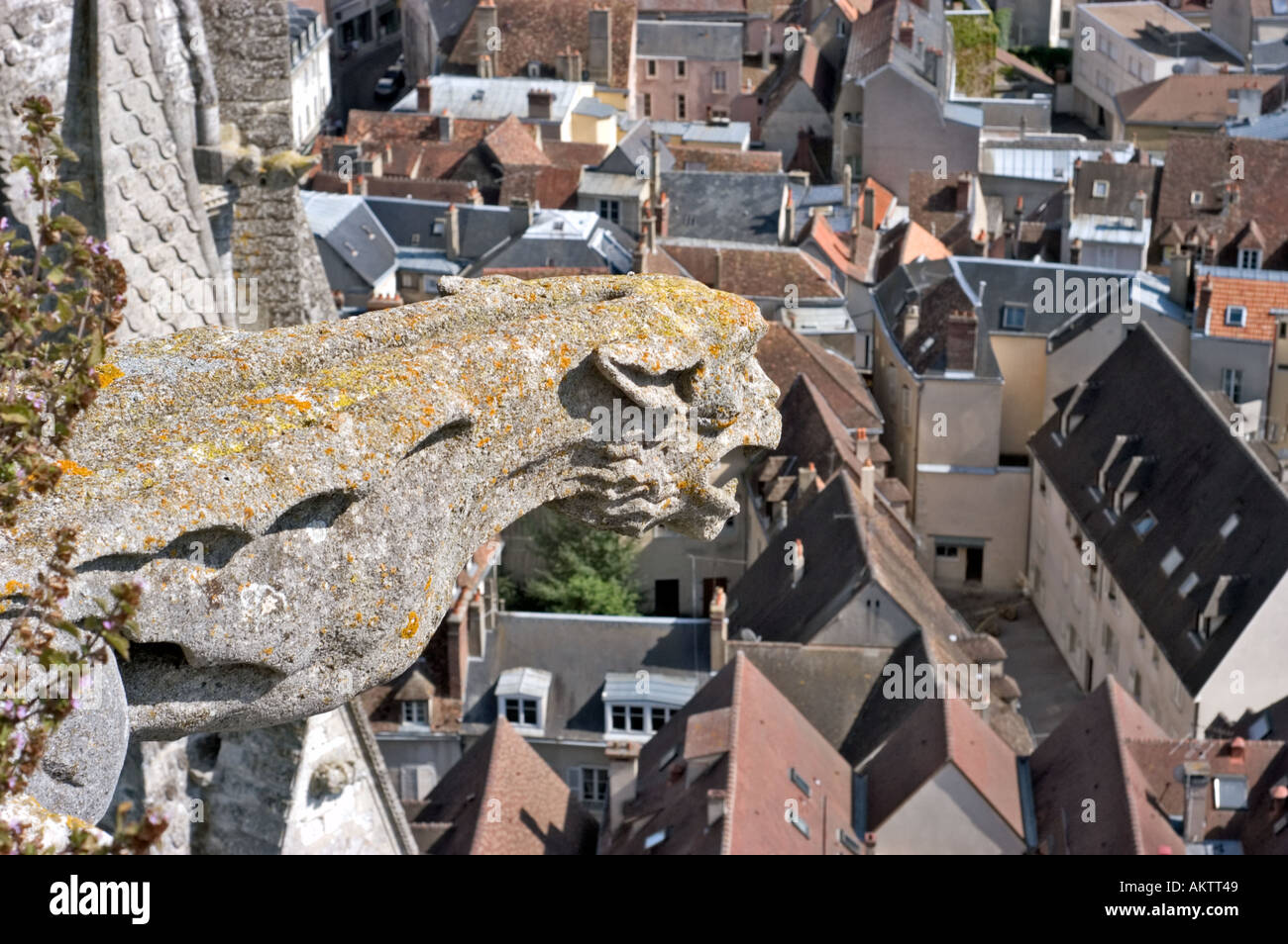 Chartres France, Exterior 'Notre Dame Cathedral' Overview of City Center from Top of Cathedral Gargoyle from above perspective Stock Photo
