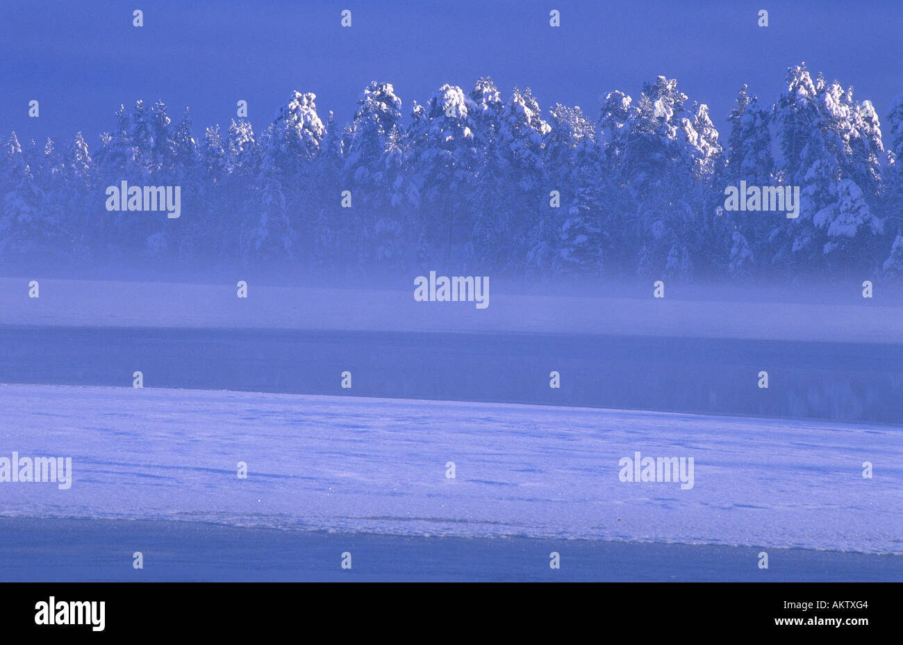 Frozen lake Stock Photo