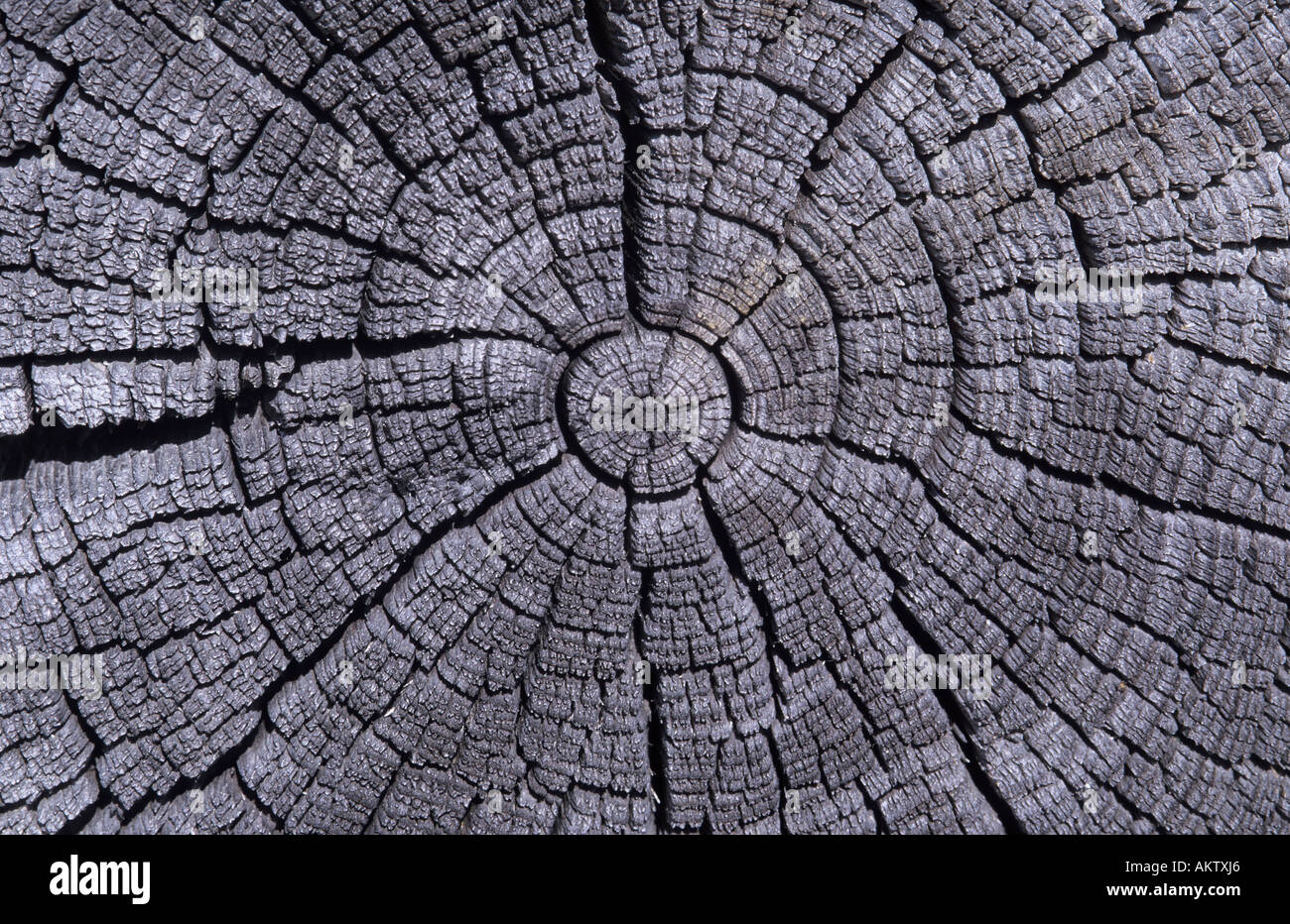 Woodmark Pattern Pattern wood hi-res stock photography and images - Alamy