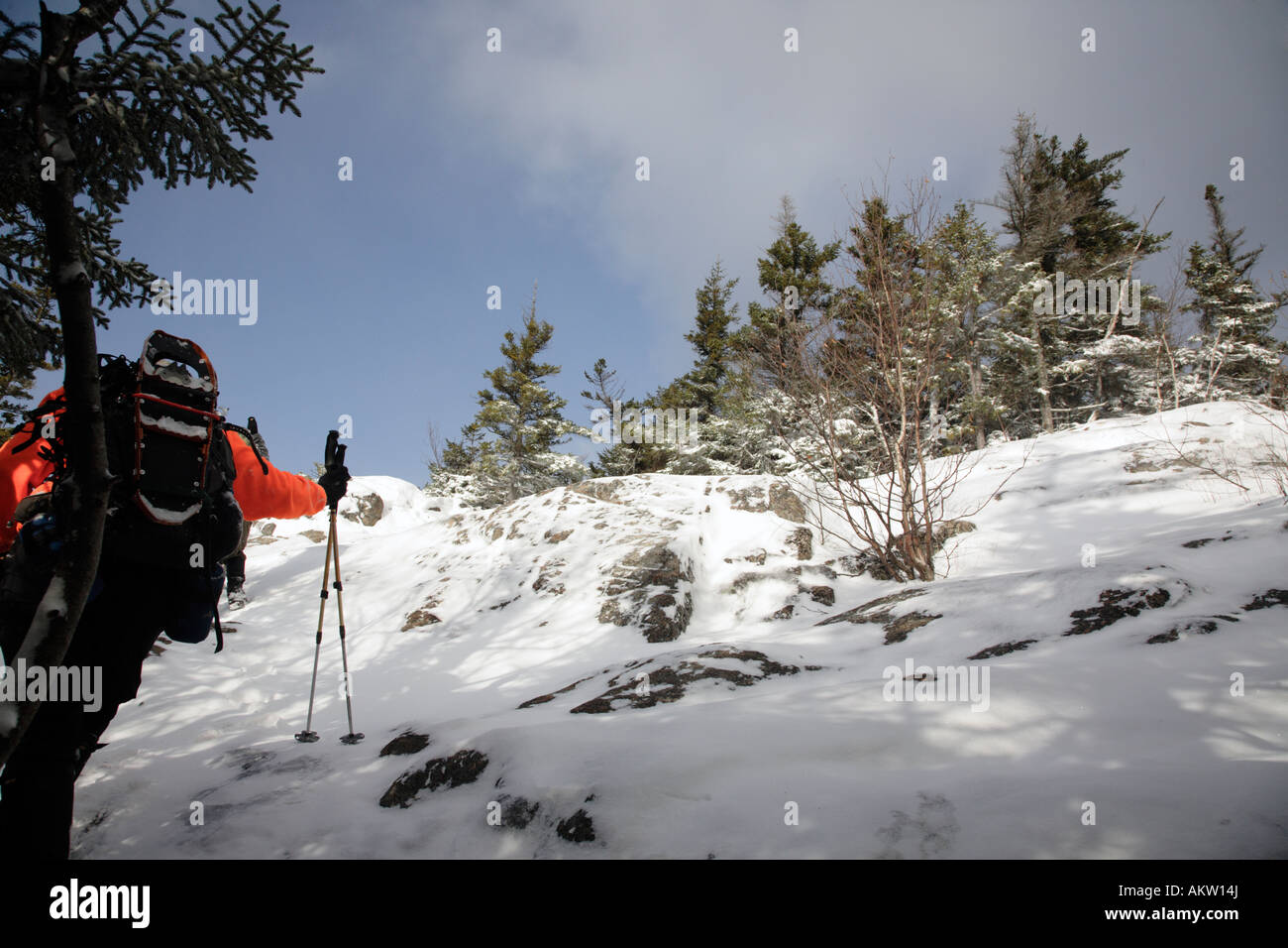 Hikers on Davis Path near Mount Crawford Located in the White Mountains