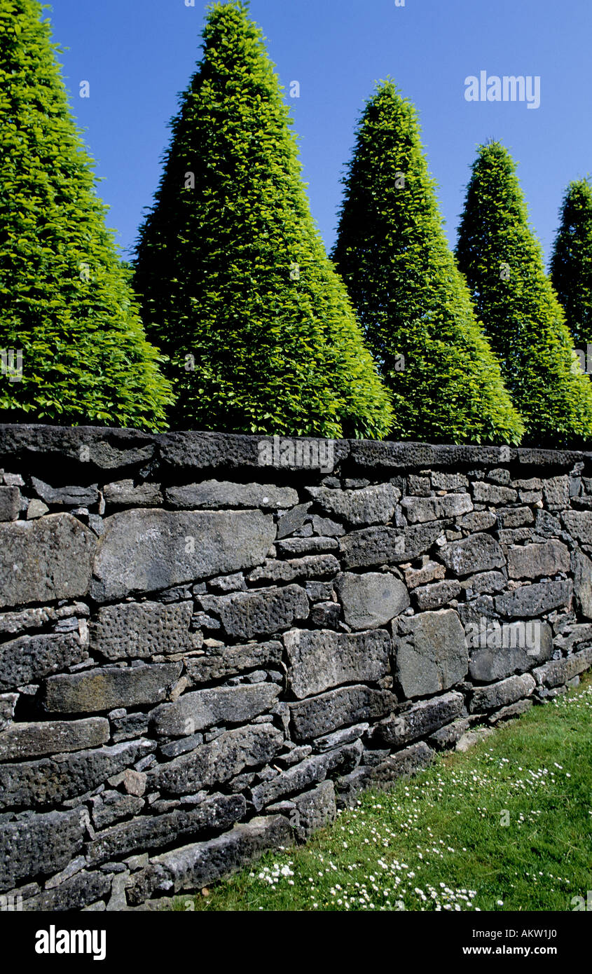 Stonewall in front of trees bushes cut trimmed Stock Photo