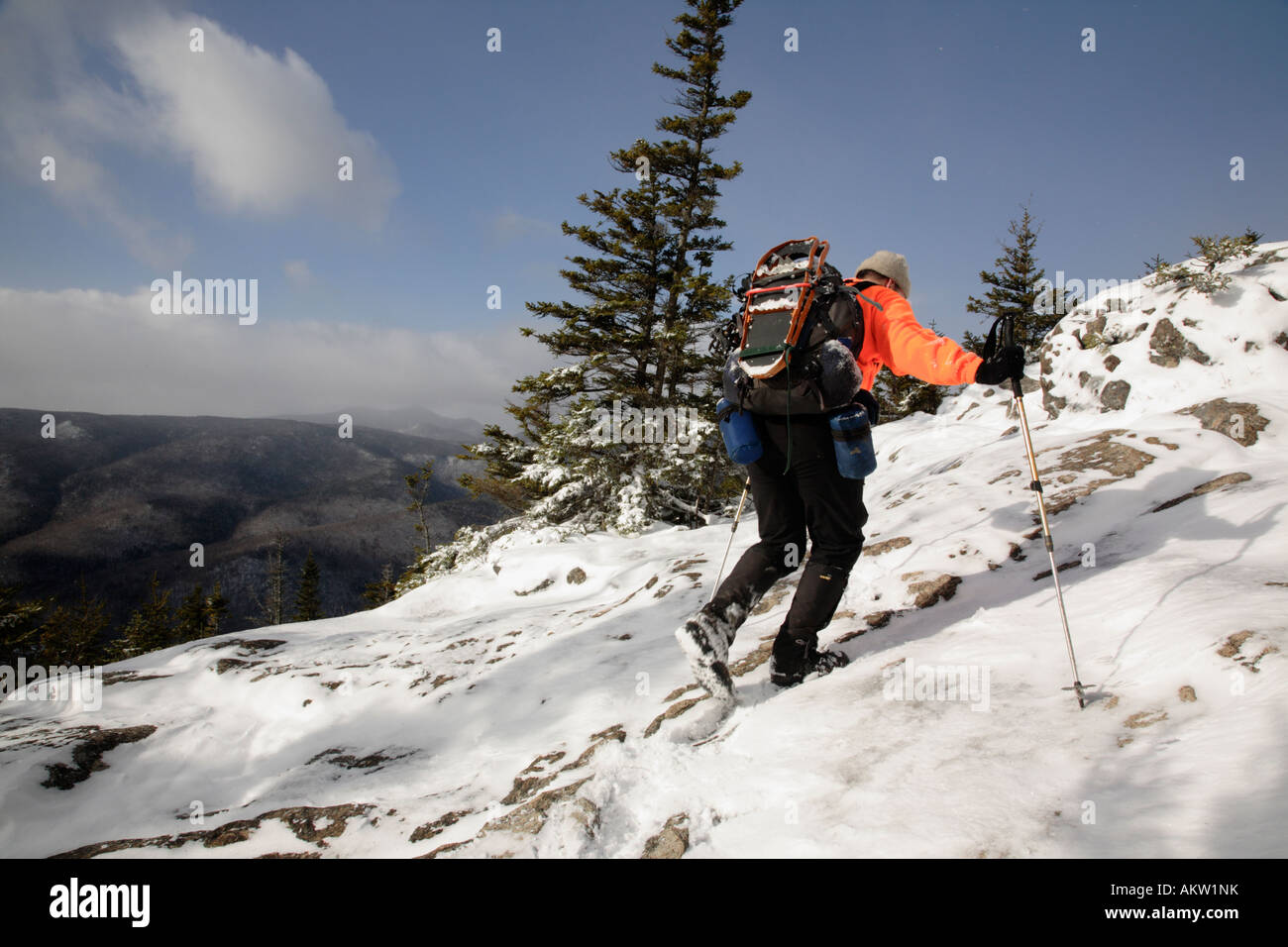 Hikers on Davis Path near Mount Crawford Located in the White Mountains