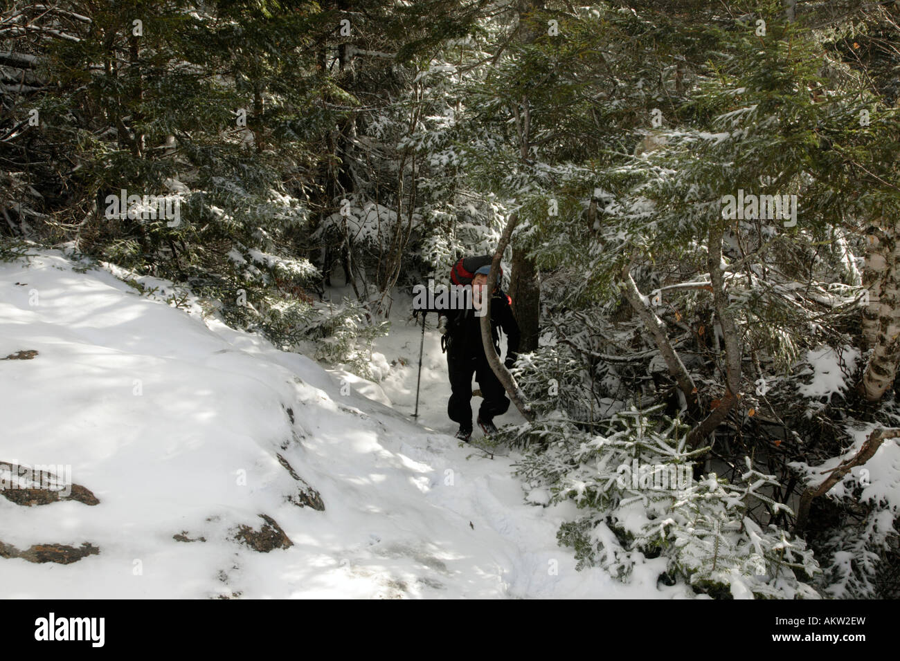 Hikers on Davis Path near Mount Crawford Located in the White Mountains