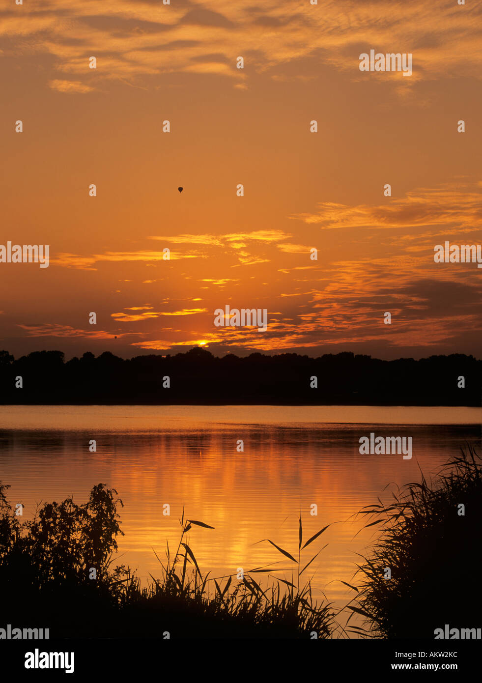 SUNSET over FRENSHAM GREAT POND with marginal reeds in silhouette ...