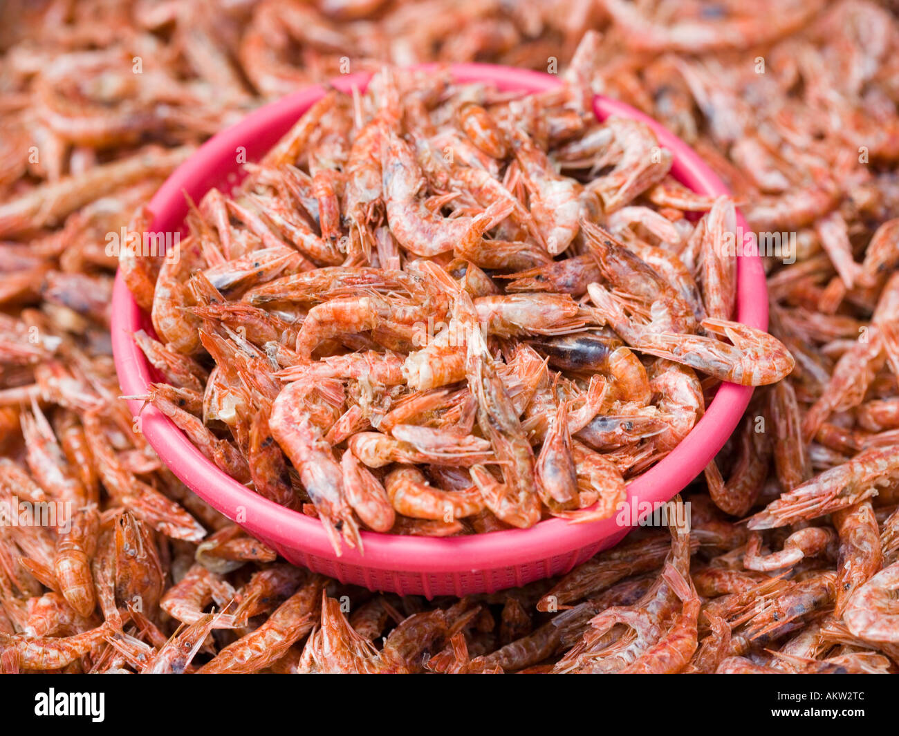 Dried Shrimp Jagalchi Fish Market Busan South Korea Stock Photo Alamy