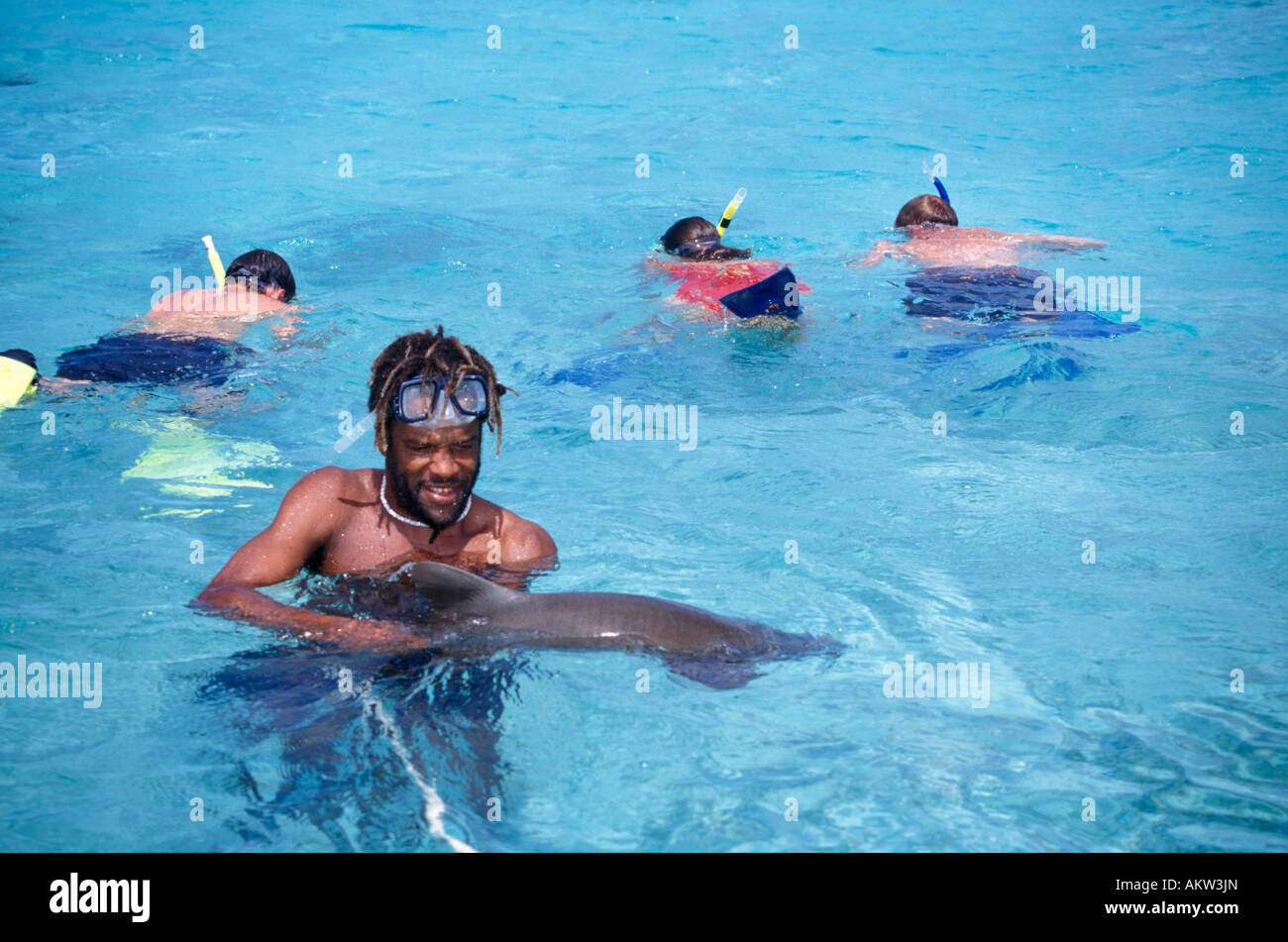 Snorkeling tour guide with a shark Barrier Reef Caye Caulker Belize