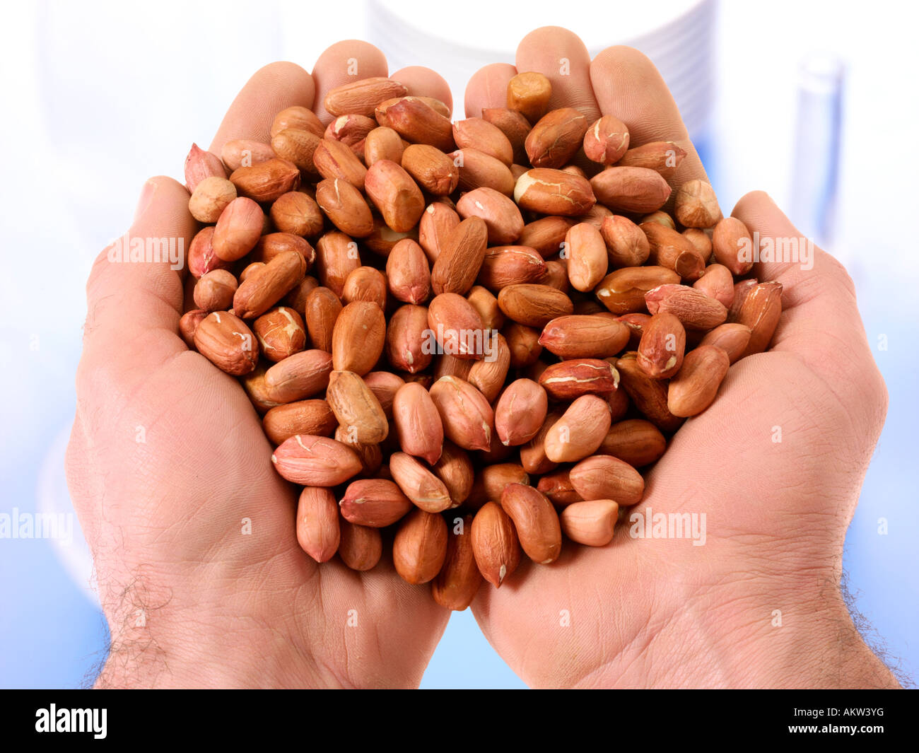 Red skin peanuts hires stock photography and images Alamy