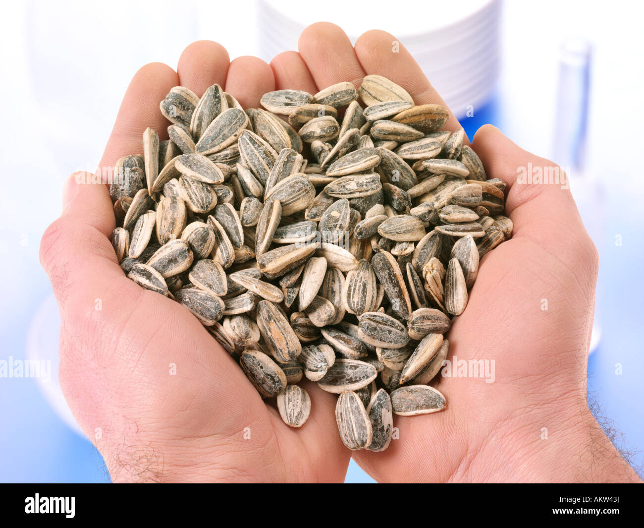 Handful Of Sunflower Seeds Stock Photo Alamy