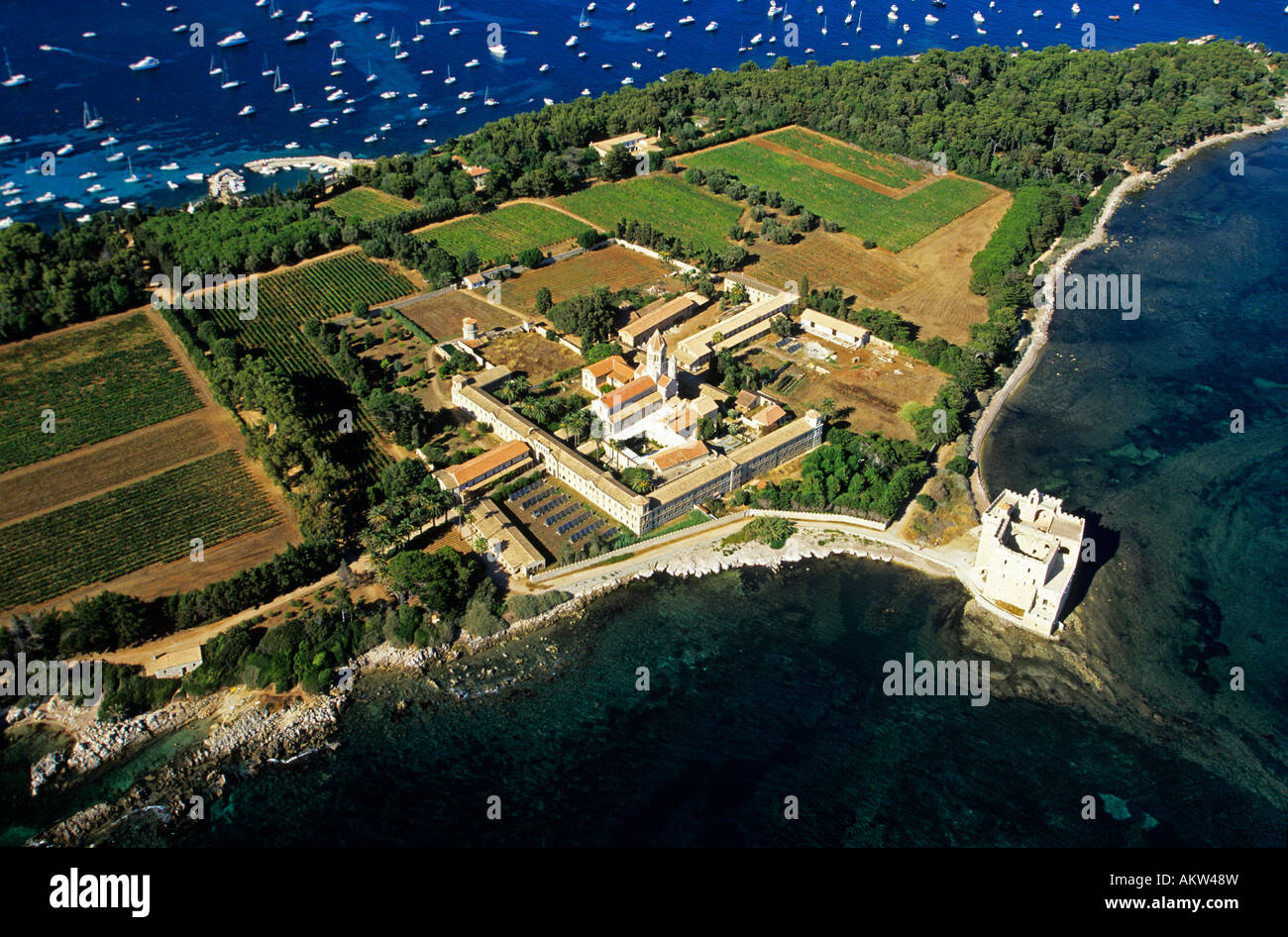 France, Alpes Maritimes, Iles de Lerins, Ile Saint Honorat, Lerins