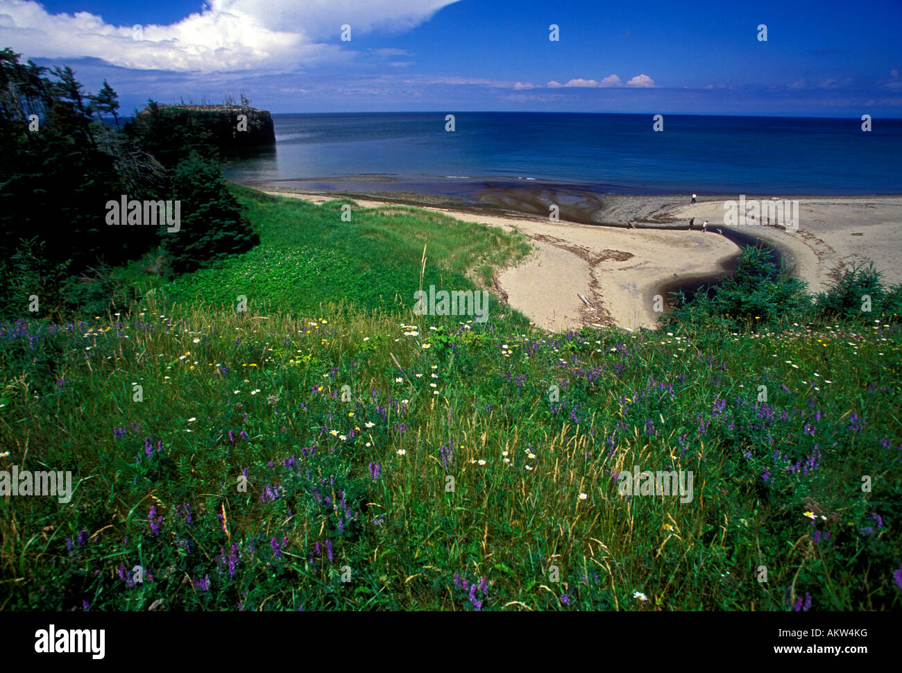 Pokeshaw new brunswick hires stock photography and images Alamy