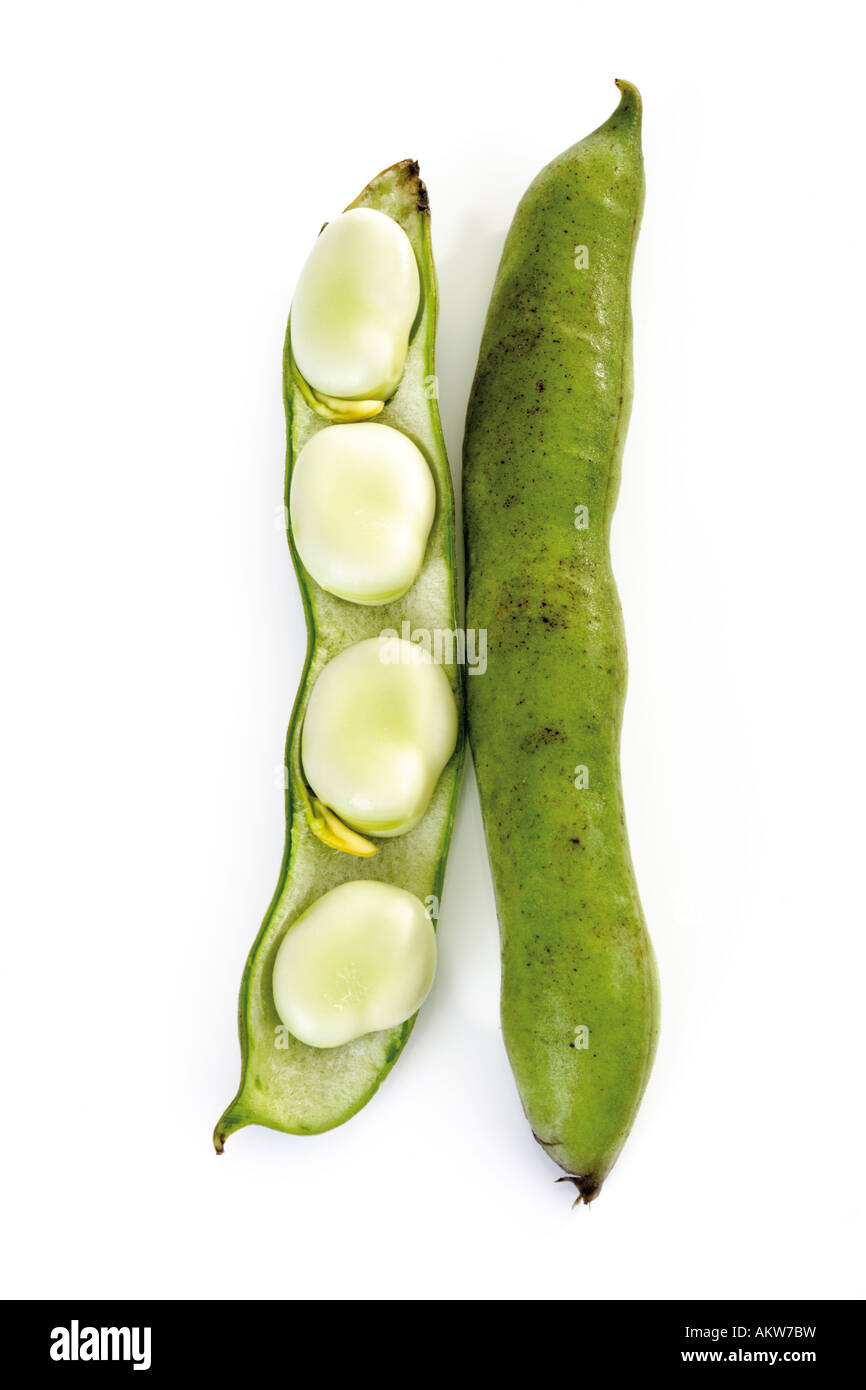 Broad beans, close-up Stock Photo