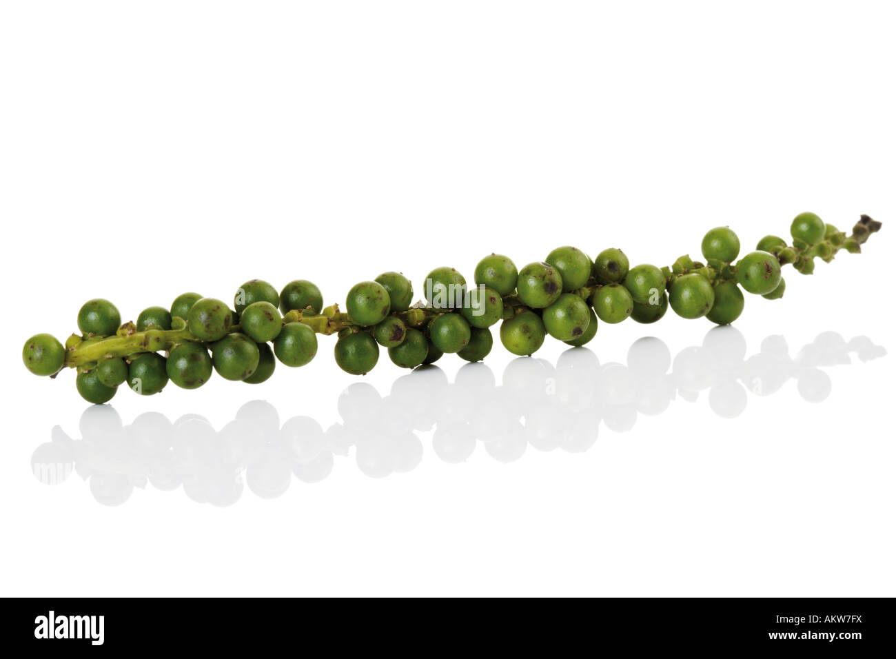 Green pepper panicle, close-up Stock Photo
