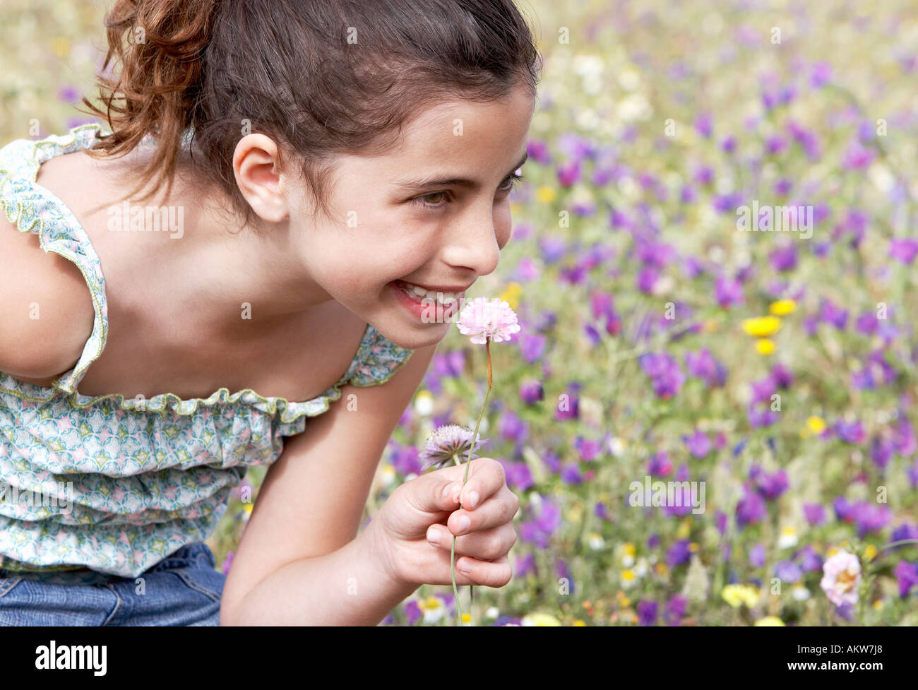 Smiling Pre-teen girl bending down, smelling flower in field of flowers ...
