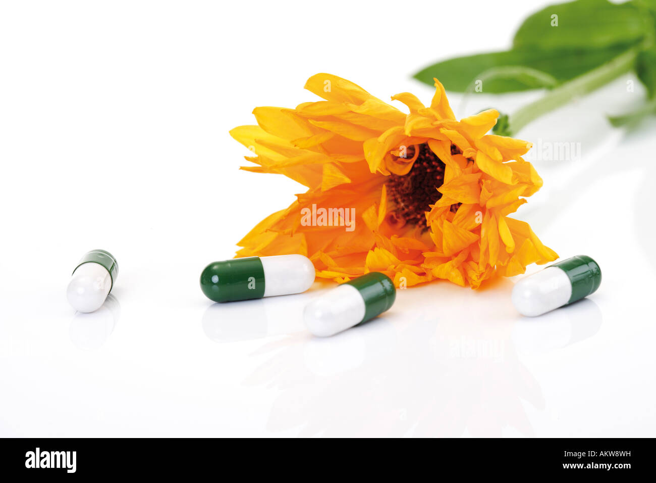 Capsules in front of marigold, close-up Stock Photo