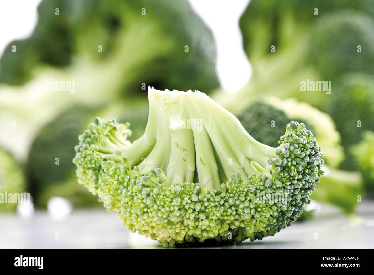 Fuzzy sprouts hires stock photography and images Alamy