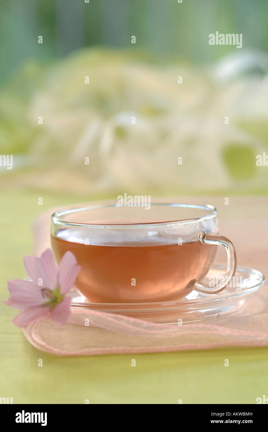 Hollyhock tea in cup, closeup Stock Photo Alamy