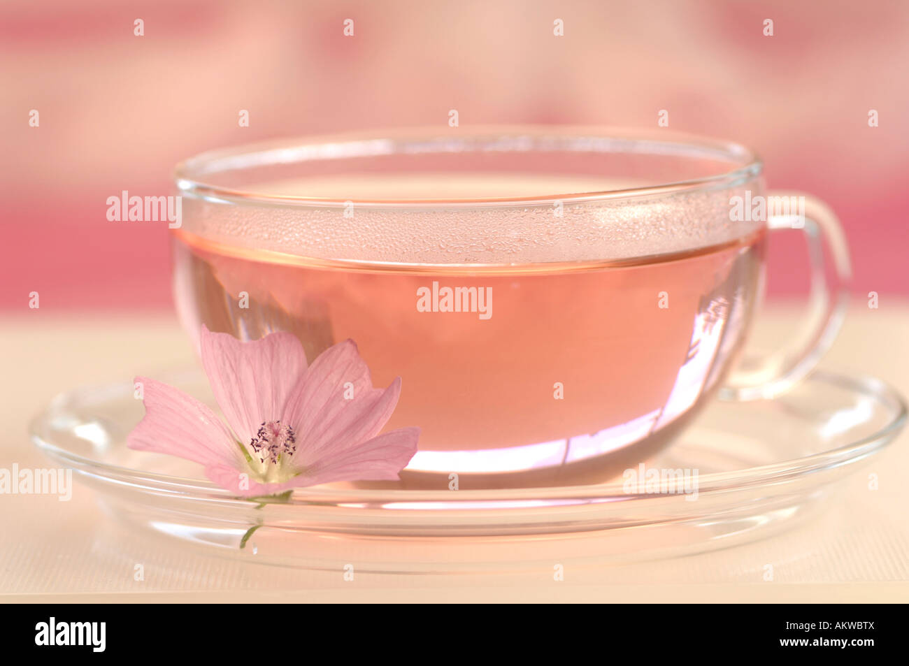 Hollyhock tea in cup, closeup Stock Photo Alamy