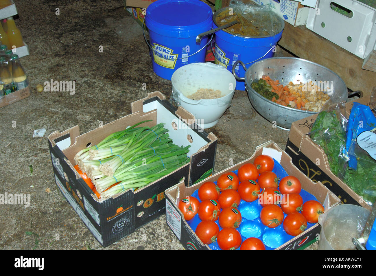 Vegetables and prepared food stored on floor in public house Health and