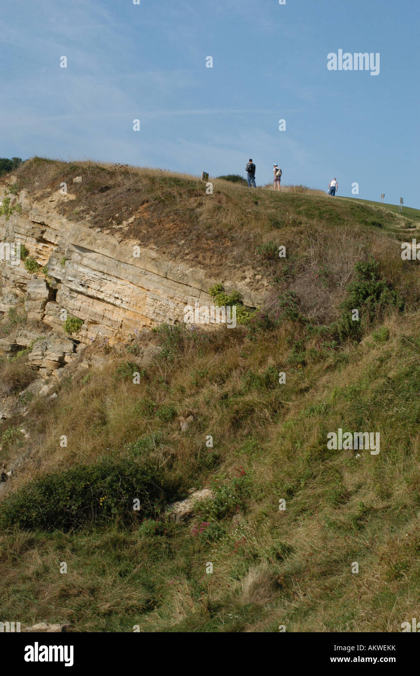 Swanage Cliff Top Stock Photo Alamy