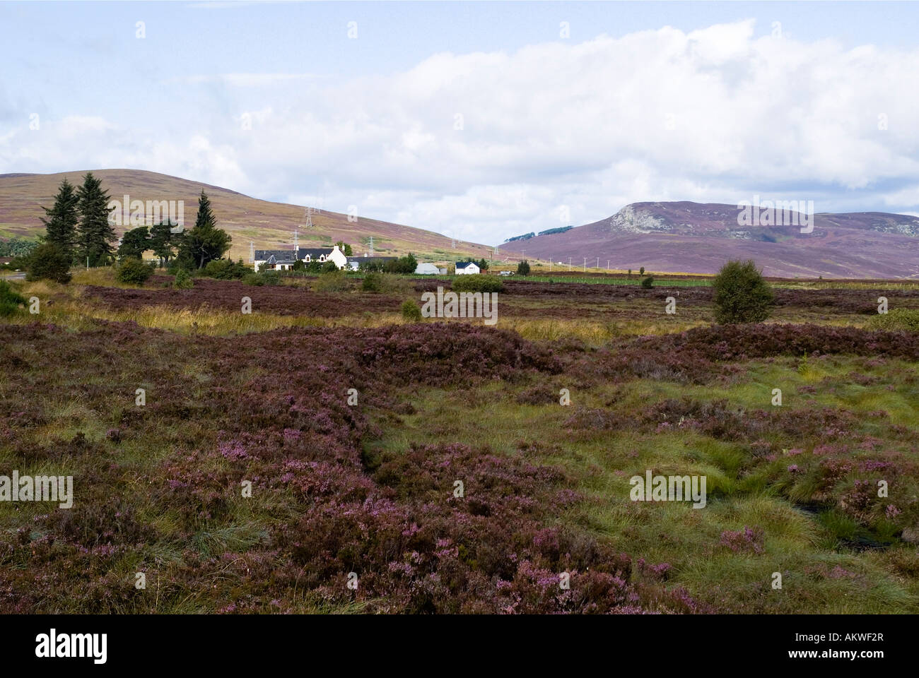 Aultnamain hires stock photography and images Alamy