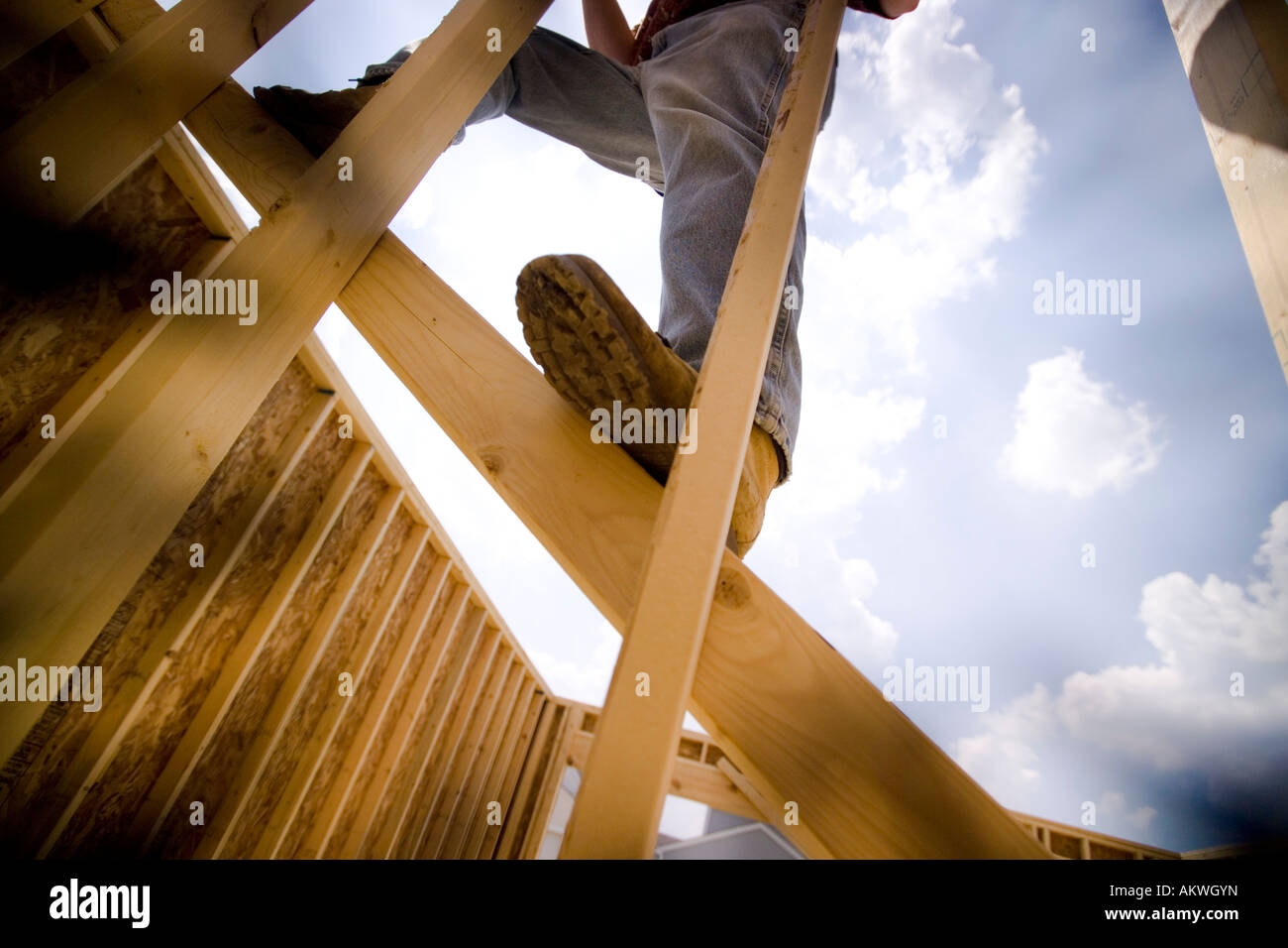 Construction worker working on wood frames house Stock Photo