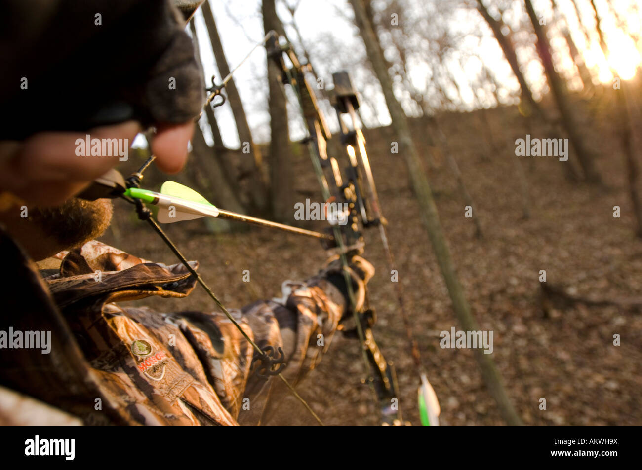 Bow hunting in Pike County Illinois Stock Photo