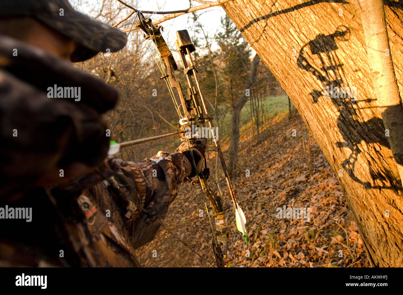 Bow hunting in Pike County Illinois Stock Photo Alamy
