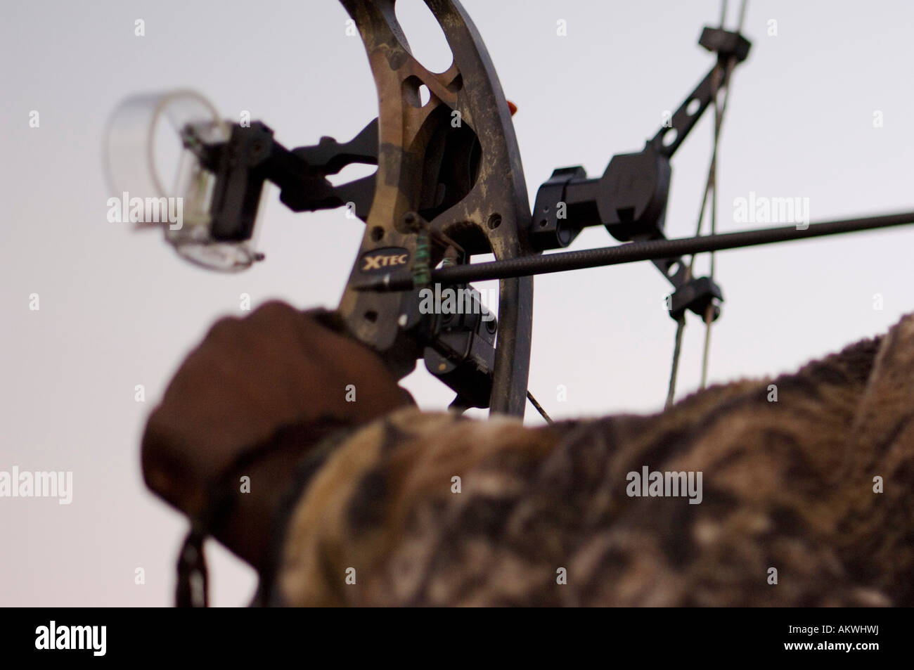 Hunting with bow and arrow hires stock photography and images Alamy