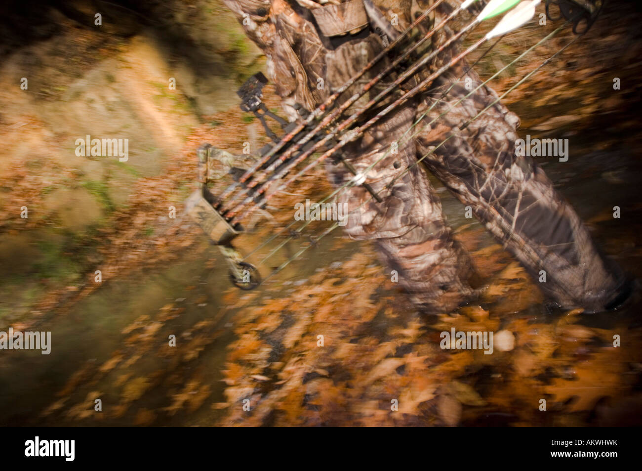 Bow hunting in Pike County Illinois Stock Photo Alamy