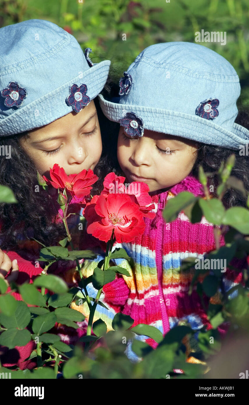 twin sisters smelling red flowers Stock Photo - Alamy