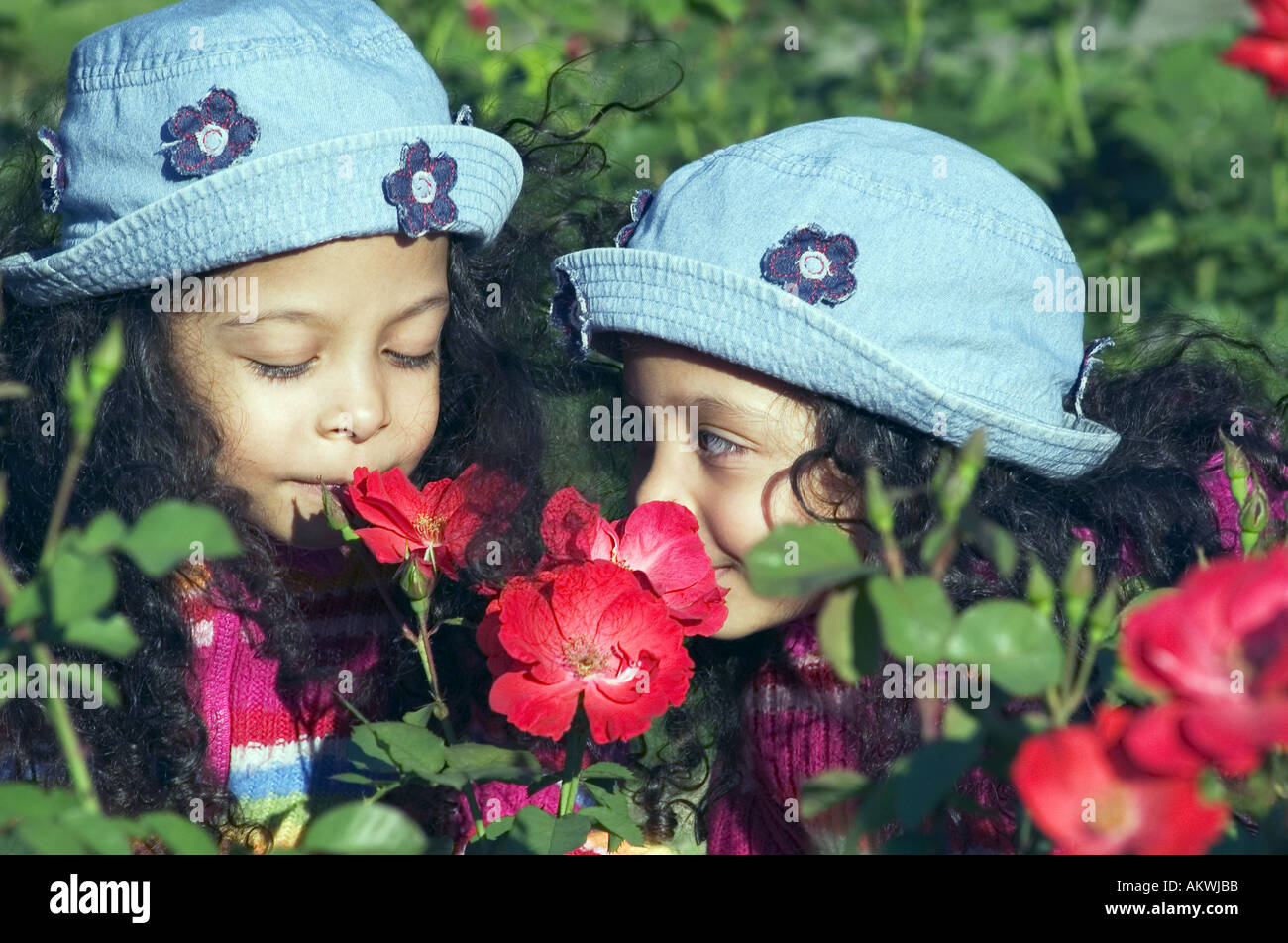 twin sisters smelling red flowers Stock Photo - Alamy