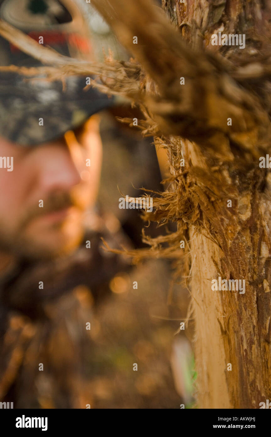 Bow hunter hiding behind tree in Pike County Illinois Stock Photo