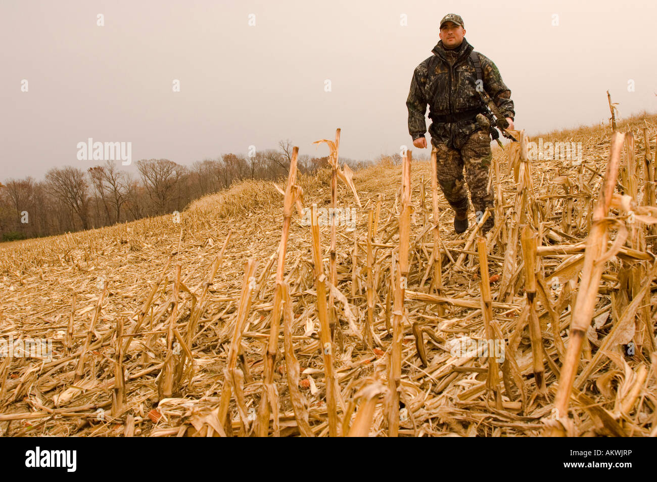 Bow hunting in Pike County Illinois Stock Photo Alamy
